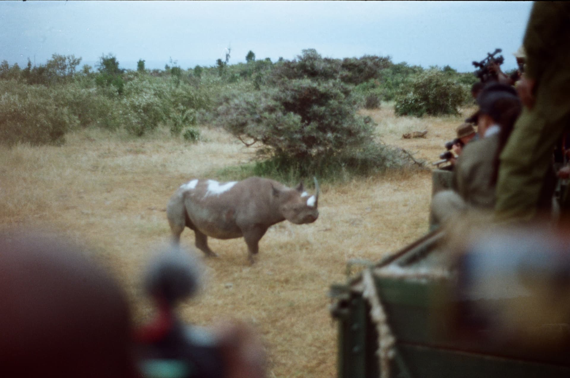 Zimbabwe Grazing Systems Tour